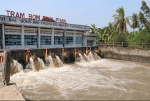undp supports usd185000 to help the mekong delta cope with drought and saline intrusion