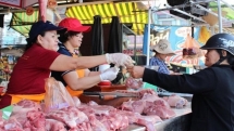 vietnam to put thousands of imported pigs into covid 19 quarantine