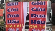 vietnamese korean woman runs for roks legislative elections