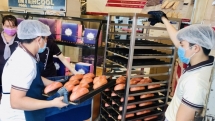 discover banh mi shops in hcmc with miss universe vietnam