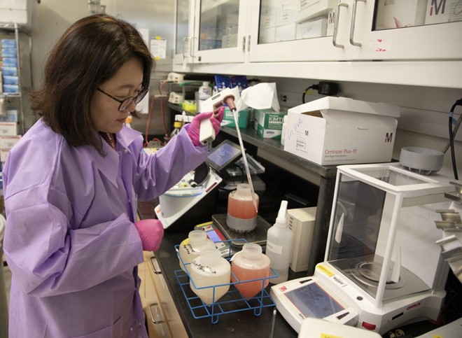 Volunteers offered £3,500 to be infected with coronavirus volunteers offered 3500 to be infected with coronavirus
