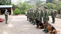 vietnam reports five new covid 19 infections total of 66 as entry of foreigners halted
