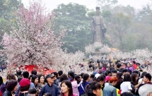foreign embassies in vietnam recommends expats to feel secure in the country