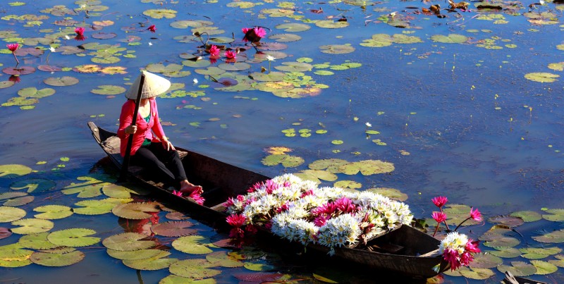 6 reasons why Vietnam among best countries for expats 6 reasons why vietnam among best countries for expats