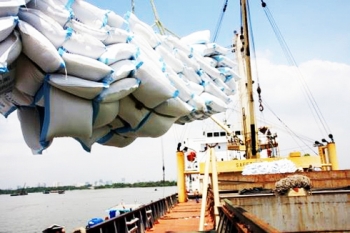 Bangladesh to import 50,000 tons of rice from Vietnam