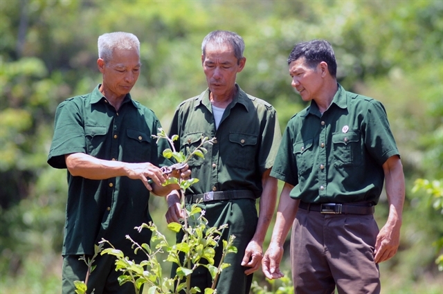Veteran leaves battlefield for success in farming fields veteran leaves battlefield for success in farming fields