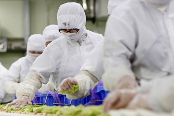 Vietnam ranks first in number of laborers granted Japan’s new work visa