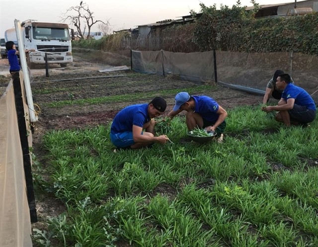 Vietnamese peacekeepers make barren Bentiu greener vietnamese peacekeepers make barren bentiu greener