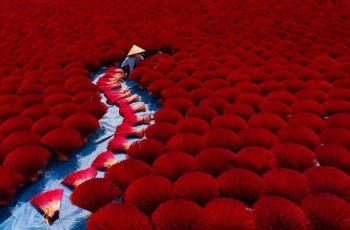 4 photos by Vietnamese authors in list of world best photos 2019