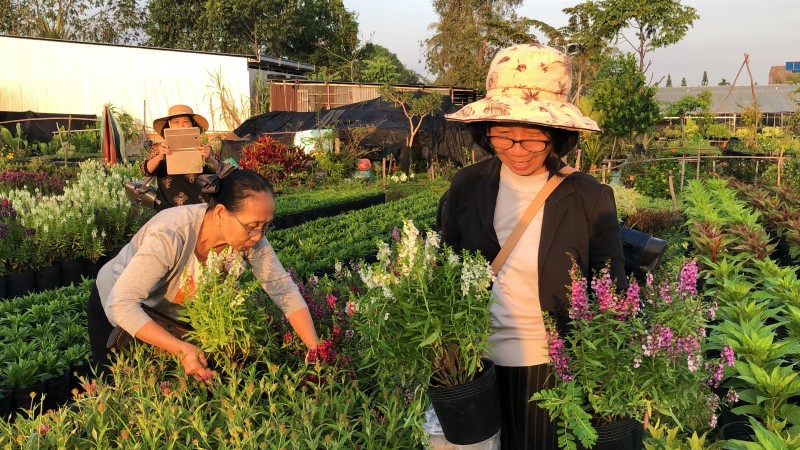 The flower village you should visit in Vietnam’s Mekong Delta the flower village you should visit in vietnams mekong delta