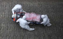 first pet dog infected with covid 19 in hong kong has died
