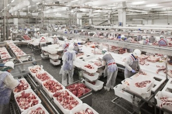 Vietnam purchased nearly 3,500 tonnes of pork from Russia