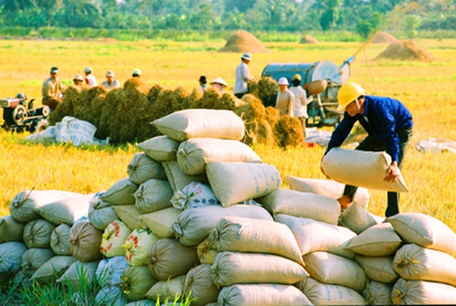 vietnamese rice latest prices and exports