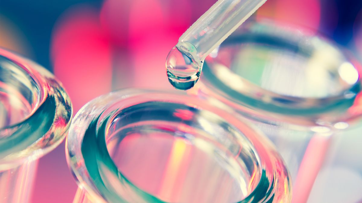 Latest treatments and drugs for Coronavieus (COVID-19) latest treatments and drugs for coronavieus covid 19