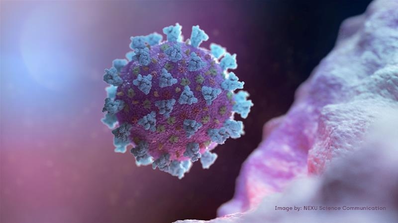 origin of coronavirus covid 19 wuhan lab in china