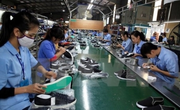 hsbc evfta to boost up vietnams gdp growth