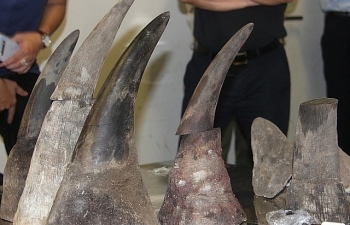 Vietnam: Import procedures for wild animals suspended