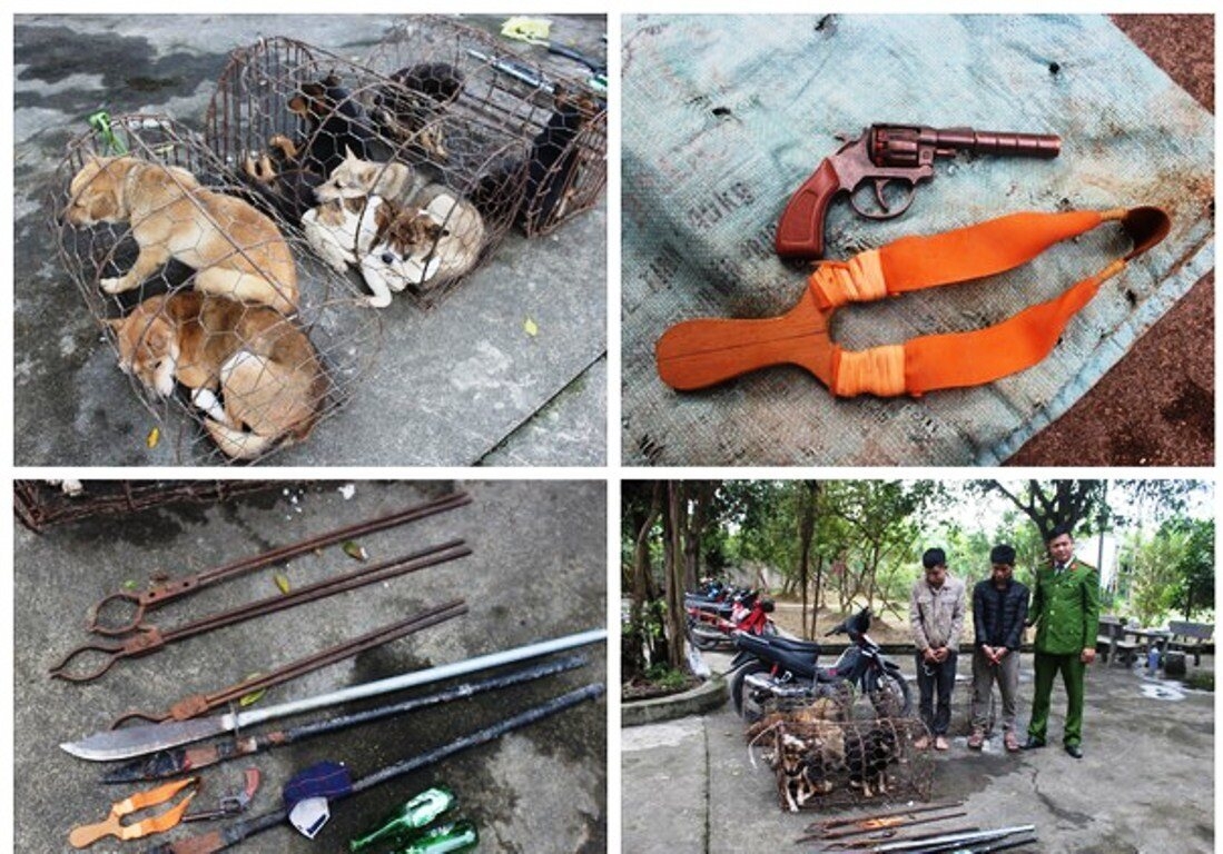 tin tuc 24h tin phap luat moi nhat nong nhat hom nay 51