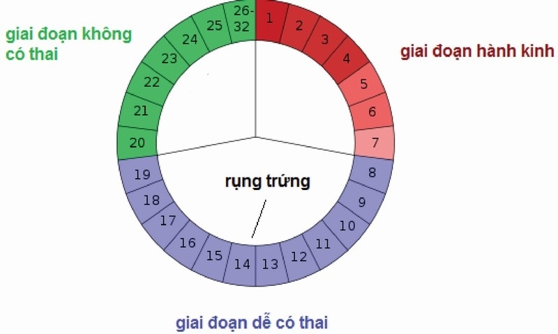 Sinh con trai năm Tân Sửu 2021: Canh ngày nào, ăn món gì?
