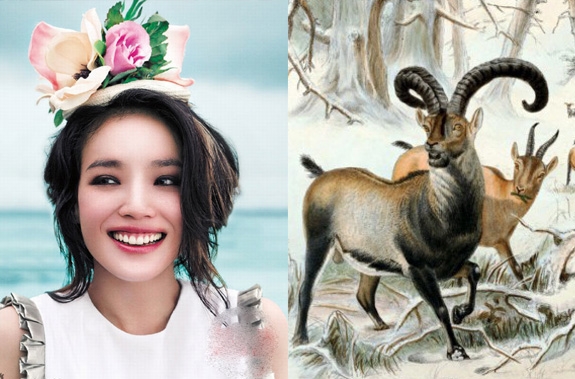Tử vi tuổi Mùi: Sự nghiệp, tiền đồ, sức khỏe tuần mới 18/1 đến 24/1 Tử vi tuổi Mùi: Sự nghiệp, tiền đồ, sức khỏe tuần mới 18/1 đến 24/1