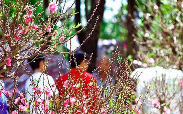 Nhận định thời tiết dịp Tết Nguyên Đán 2021 Nhận định thời tiết dịp Tết Nguyên Đán 2021