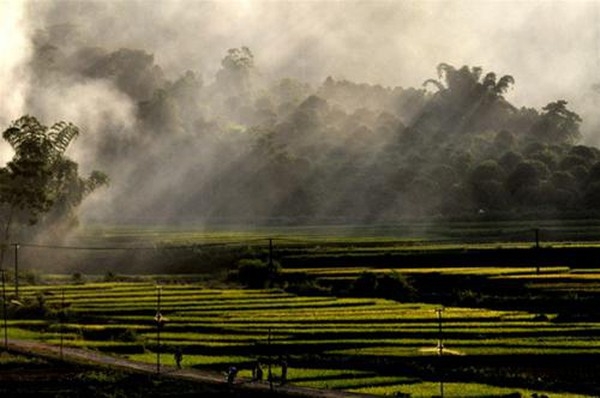 Thời tiết ngày mai 19/1: Bắc Bộ ngày nắng ấm, đêm rét đậm rét hại Thời tiết ngày mai 19/1: Bắc Bộ ngày nắng ấm, đêm rét đậm rét hại