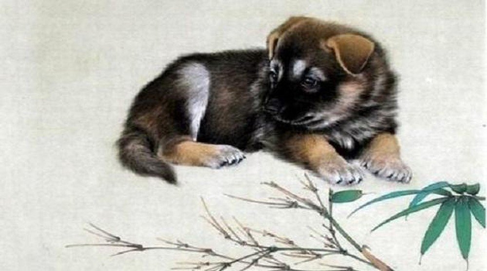 Tử vi tuổi Tuất: Công việc, tình duyên, sức khỏe tháng 2/2021 Tử vi tuổi Tuất: Công việc, tình duyên, sức khỏe tháng 2/2021
