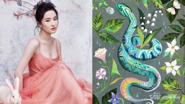 Tử vi tuổi Tỵ: Tình cảm, công việc, tài vận tuần mới 1/2 đến 7/2/2021 Tử vi tuổi Tỵ: Tình cảm, công việc, tài vận tuần mới 1/2 đến 7/2/2021