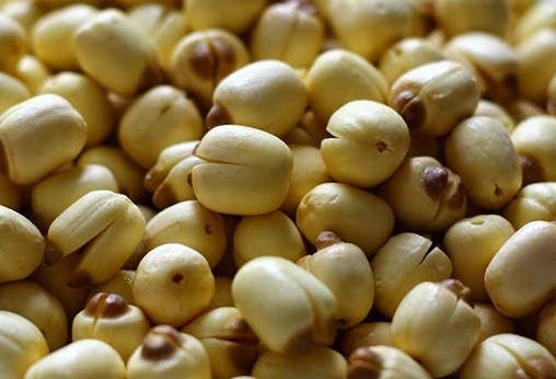 Cách làm mứt hạt sen khô nhâm nhi ngày Tết Cách làm mứt hạt sen khô nhâm nhi ngày Tết