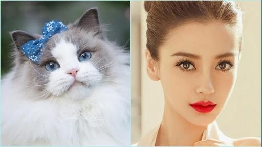 Tử vi tuần mới tuổi Mão (8/2 đến 14/2/2021): Sự nghiệp, tiền tài, tình yêu Tử vi tuần mới tuổi Mão (8/2 đến 14/2/2021): Sự nghiệp, tiền tài, tình yêu