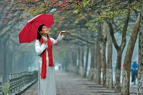 Thời tiết ngày mai 28/2: Mưa rải rác ở Hà Nội và Trung Bộ Thời tiết ngày mai 28/2: Mưa rải rác ở Hà Nội và Trung Bộ