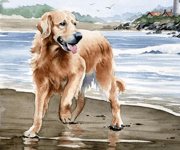 Tử vi tuần mới 1/3 đến 7/3/2021 tuổi Tuất: Công danh sự nghiệp, tình duyên Tử vi tuần mới 1/3 đến 7/3/2021 tuổi Tuất: Công danh sự nghiệp, tình duyên