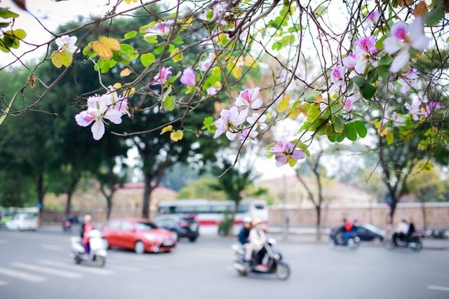 Thời tiết 10 ngày tới (7/3-17/3): Bắc Bộ đêm và sáng trời rét, ngày nắng Thời tiết 10 ngày tới (7/3-17/3): Bắc Bộ đêm và sáng trời rét, ngày nắng