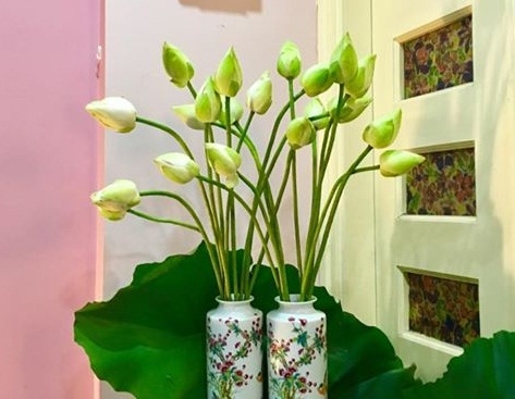 Những vật phẩm đặt trong nhà giúp xua đuổi tà khí, gia chủ vượng phát Những vật phẩm đặt trong nhà giúp xua đuổi tà khí, gia chủ vượng phát