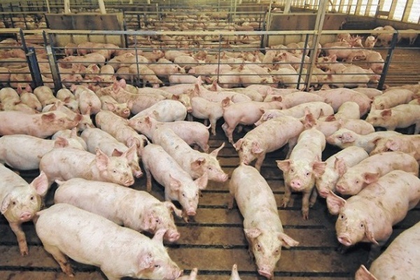 4840 heo320200203060403 1592906935989432669364 0 64 349 588 crop 1592906972052355005596