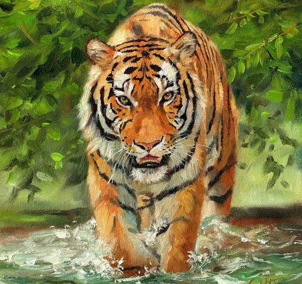 Tử vi tuổi Dần: Sức khoẻ, sự nghiệp, tình duyên tuần mới 12/7 đến 18/7/2021