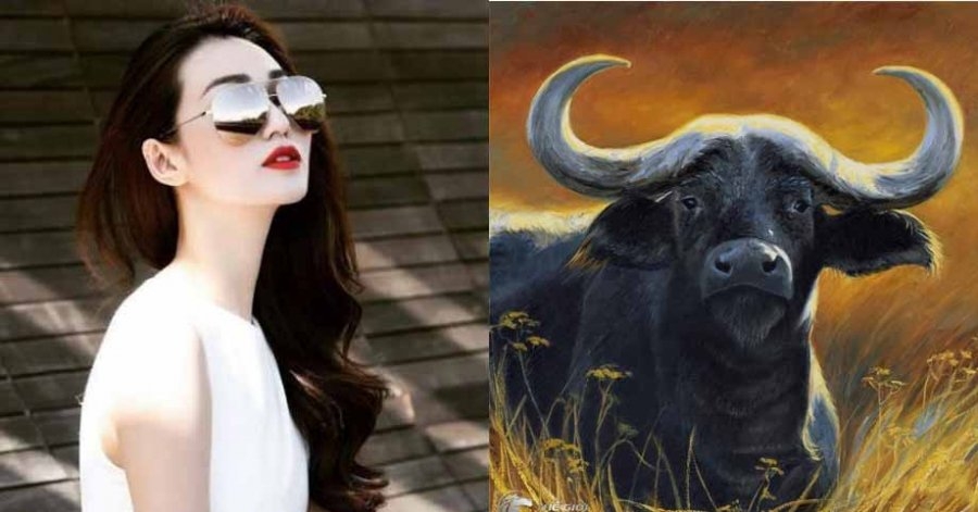 Tử vi tuổi Sửu tháng 8/2021: Tình yêu đẹp, các cặp đôi tính chuyện trăm năm Tử vi tuổi Sửu tháng 8/2021: Tình yêu đẹp, các cặp đôi tính chuyện trăm năm
