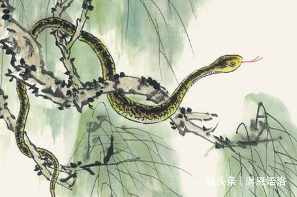 Tử vi tuổi Tỵ tháng 9/2021: Tài chính phát triển rực rỡ Tử vi tuổi Tỵ tháng 9/2021: Tài chính phát triển rực rỡ