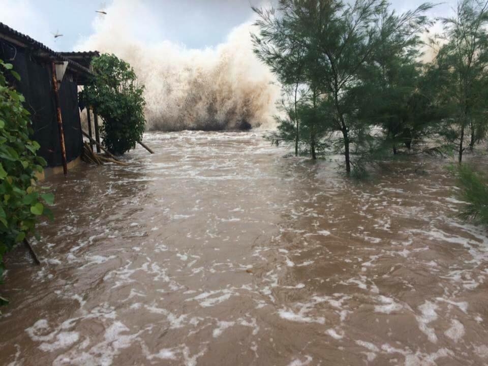 Bão số 9 (Molave): Sức gió mạnh nhất đã lên cấp 14, giật cấp 17 Bão số 9 (Molave): Sức gió mạnh nhất đã lên cấp 14, giật cấp 17