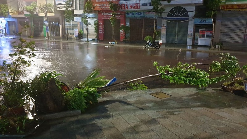 Bão số 9 giật đổ cây xanh, nhà tốc mái tại Đà Nẵng, Quảng Nam, Quảng Ngãi Bão số 9 giật đổ cây xanh, nhà tốc mái tại Đà Nẵng, Quảng Nam, Quảng Ngãi