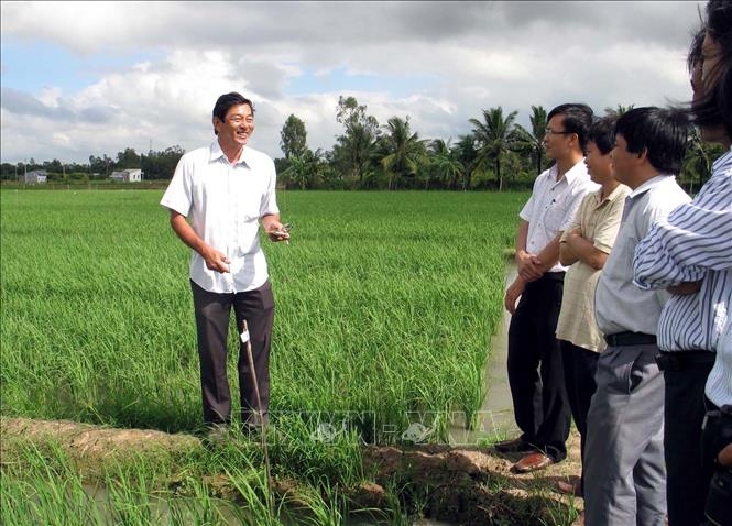 gao st ngon nhat the gioi cua viet nam co gi dac biet