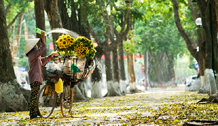 Thời tiết 8/11: Bắc Bộ nắng lạnh, Trung Bộ mưa vài nơi Thời tiết 8/11: Bắc Bộ nắng lạnh, Trung Bộ mưa vài nơi