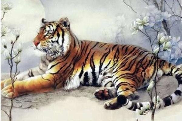 Tử vi tuổi Dần: Công việc, tình yêu, sức khoẻ tuần mới 15/11 đến 21/11/2021 Tử vi tuổi Dần: Công việc, tình yêu, sức khoẻ tuần mới 15/11 đến 21/11/2021