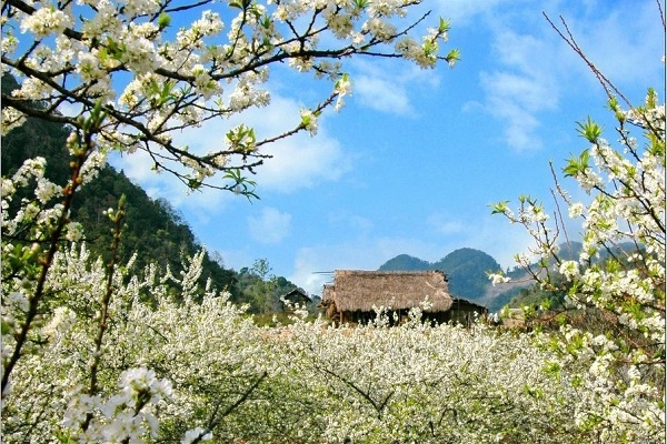 Những địa điểm vui chơi Tết Dương Lịch 2021 lý tưởng cho cả gia đình Những địa điểm vui chơi Tết Dương Lịch 2021 lý tưởng cho cả gia đình