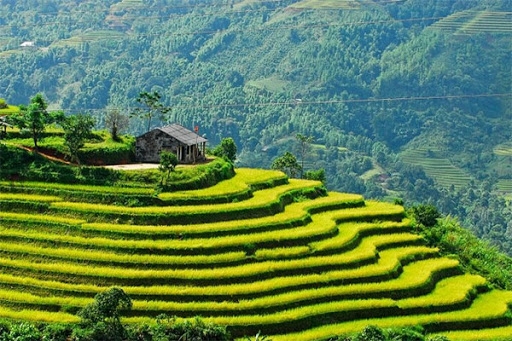 Những địa điểm vui chơi Tết Dương Lịch 2021 lý tưởng cho cả gia đình Những địa điểm vui chơi Tết Dương Lịch 2021 lý tưởng cho cả gia đình