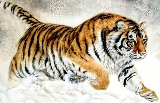 Tử vi tuổi Dần năm Tân Sửu 2021: Năm của sự phát triển, thu nạp tri thức Tử vi tuổi Dần năm Tân Sửu 2021: Năm của sự phát triển, thu nạp tri thức