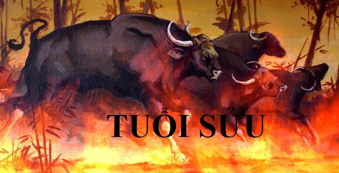 Tử vi tuần mới 6/12 đến 12/12/2021 tuổi Sửu: Tài chính ảm đạm Tử vi tuần mới 6/12 đến 12/12/2021 tuổi Sửu: Tài chính ảm đạm
