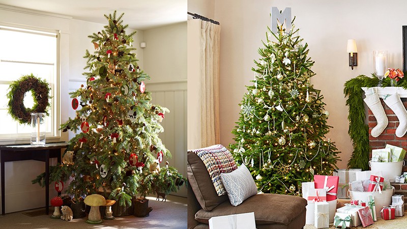 Noel 2021: Tổng hợp ý tưởng trang trí cây thông Noel theo chủ đề đơn giản đẹp mắt nhất Noel 2021: Tổng hợp ý tưởng trang trí cây thông Noel theo chủ đề đơn giản đẹp mắt nhất