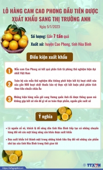 Xuất khẩu gần 7 tấn cam Cao Phong đầu tiên sang Anh