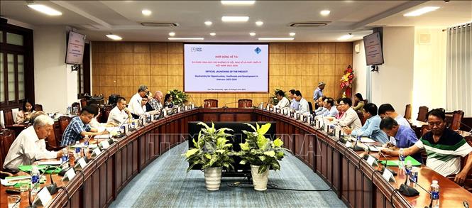 Na Uy tài trợ Việt Nam nghiên cứu lai tạo các giống lúa thích ứng với biến đổi khí hậu Chú thích ảnh